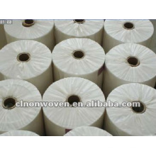 Polyester Spunbond Non-woven Fabric